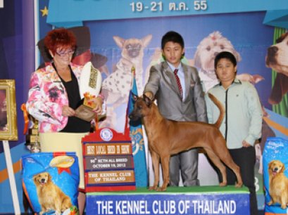 TH.CH.J.D.UNITED JOE'S ANGEL PHA-RUNG-A ROON