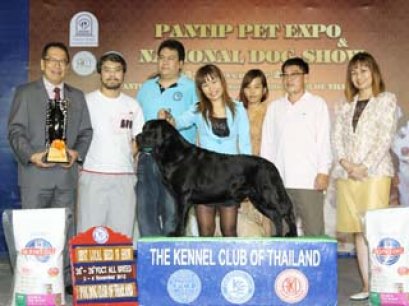 TH.CH.SANTA AQUARIUS BABY BOOM