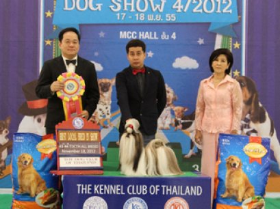 TH.CH.CENTURY'S MY GOLDEN DREAM