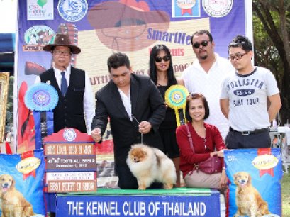 LUXURY'S LUXURY DREAM