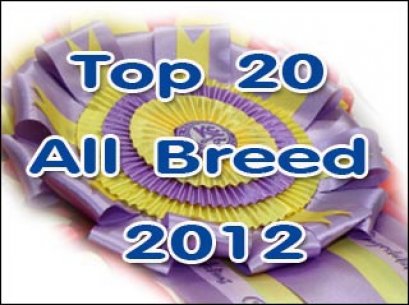 Top 20 All Breed 2012