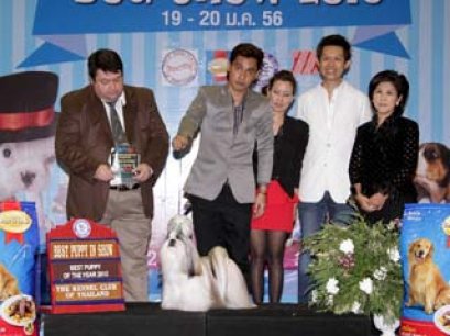 Best Puppy Of The Year 2012