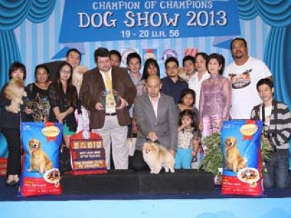 Best Local Bred Of The Year 2012