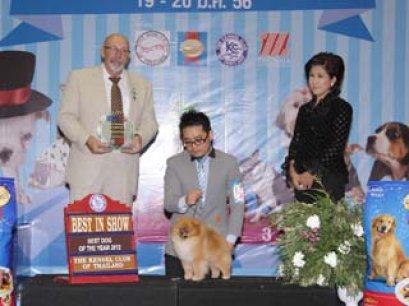 Best Dog Of The Year 2012