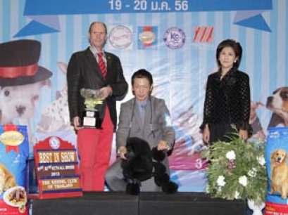 Champion Of Champions Dog Show 2013(AB1)