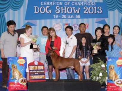 Champion Of Champions Dog Show 2013(AB2)