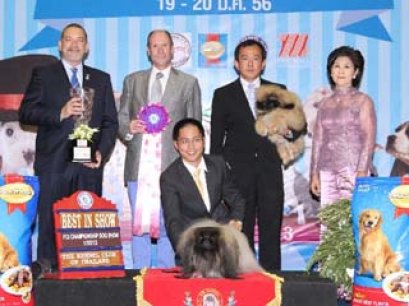 Champion Of Champions Dog Show 2013(FCI)