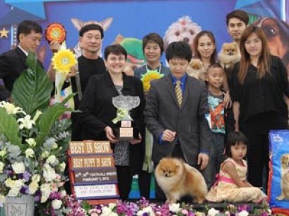The Mall Toy Dog Championship Dog Show 1/2013(AB2)