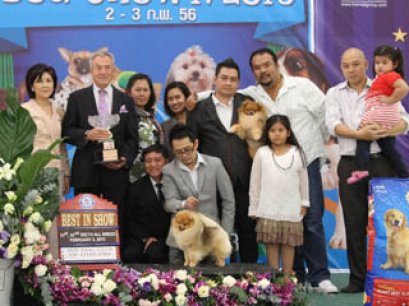 The Mall Toy Dog Championship Dog Show 1/2013(AB4)