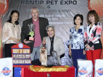 PANTIP PET EXPO & NATIONAL DOG SHOW 2013(AB1)
