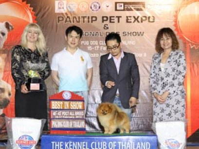 PANTIP PET EXPO & NATIONAL DOG SHOW 2013(AB3)