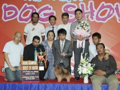 NONGKHAI Dog Show 2013(AB1)