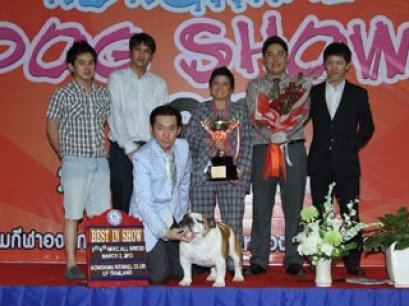 NONGKHAI Dog Show 2013(AB2)
