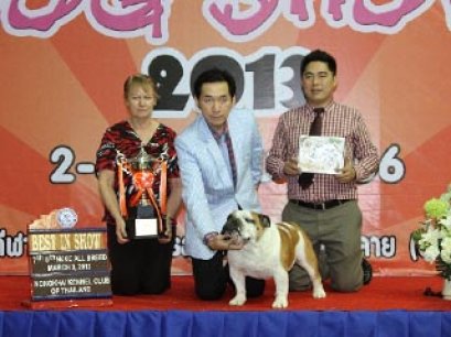 NONGKHAI Dog Show 2013(AB3)