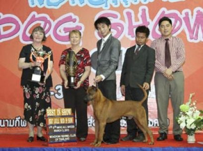 NONGKHAI Dog Show 2013(AB4)