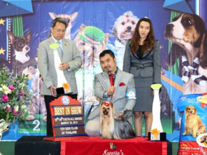 The Mall Toy Dog Championship Dog Show 2/2013(AB1)