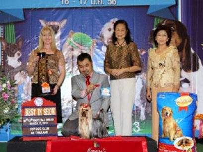 The Mall Toy Dog Championship Dog Show 2/2013(AB3)
