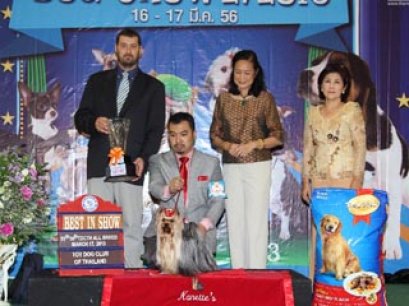 The Mall Toy Dog Championship Dog Show 2/2013(AB4))
