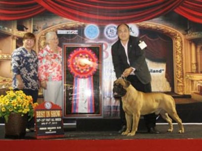 FBCT Championship Show 1/2013(AB1)