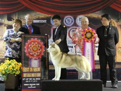 FBCT Championship Show 1/2013(AB3)