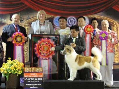 FBCT Championship Show 1/2013(AB4)