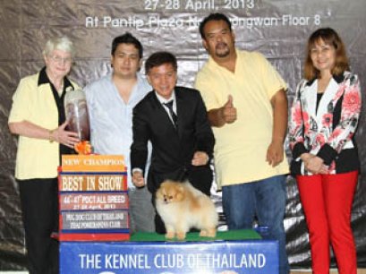 PANTIP PET EXPO & NATIONAL DOG SHOW 2013(AB1)