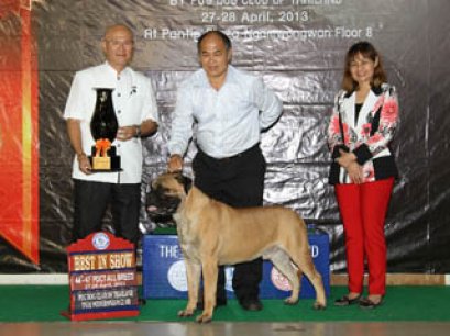 PANTIP PET EXPO & NATIONAL DOG SHOW 2013(AB2)