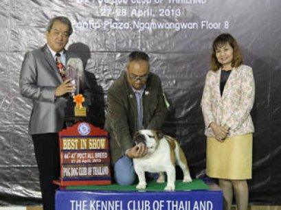 PANTIP PET EXPO & NATIONAL DOG SHOW 2013(AB3)