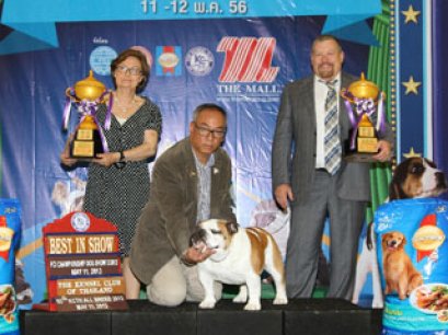 Bangkok FCI International Championship Dog Show 2013(AB1)