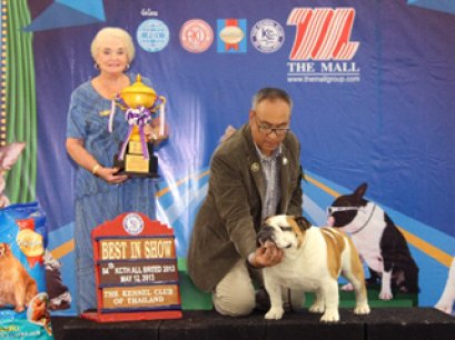 Bangkok FCI International Championship Dog Show 2013(AB3)