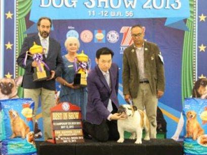 Bangkok FCI International Championship Dog Show 2013(AB4)