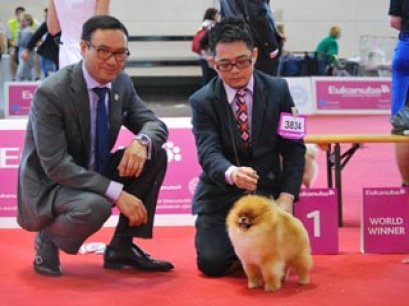 New World champion 2013