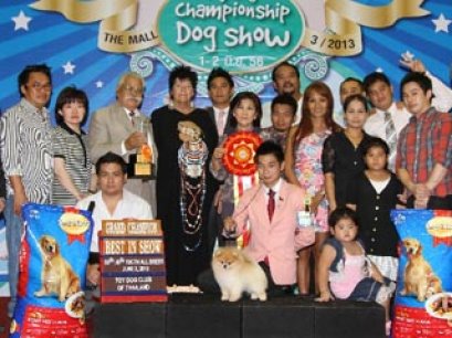 The Mall Toy Dog Championship Dog Show 3/2013(AB3)