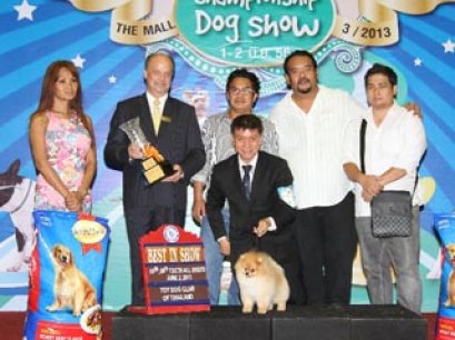 The Mall Toy Dog Championship Dog Show 3/2013(AB4)