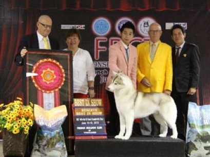 FBCT Championship Show 2/2013(AB3)