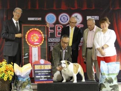 FBCT Championship Show 2/2013(AB4)