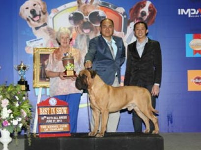 Thailand International Dog Show 2013(AB1)