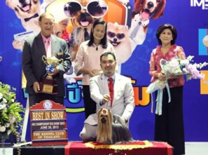 Thailand International Dog Show 2013(AB3)