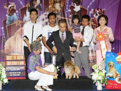The Mall Toy Dog Championship Dog Show 4/2013(AB2)