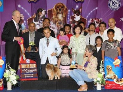 The Mall Toy Dog Championship Dog Show 4/2013(AB3)