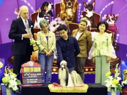 The Mall Toy Dog Championship Dog Show 4/2013(AB4)