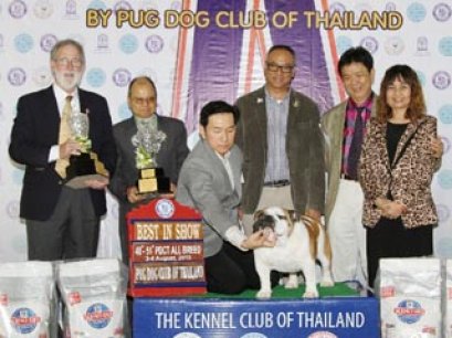 PANTIP PET EXPO & NATIONAL DOG SHOW 2013(AB2)