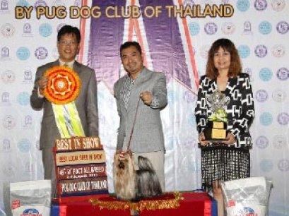 PANTIP PET EXPO & NATIONAL DOG SHOW 2013(AB3)