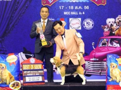 The Mall Toy Dog Championship Dog Show 5/2013(AB1)