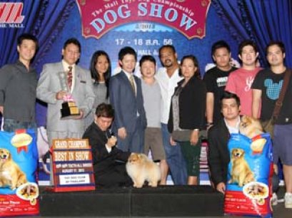 The Mall Toy Dog Championship Dog Show 5/2013(AB2)