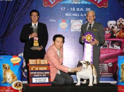 The Mall Toy Dog Championship Dog Show 5/2013(AB3)
