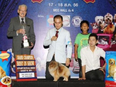 The Mall Toy Dog Championship Dog Show 5/2013(AB4)