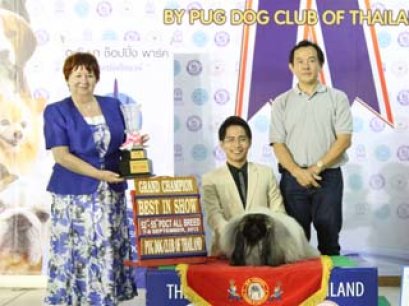 PANTIP PET EXPO & NATIONAL DOG SHOW 4/2013(AB3)