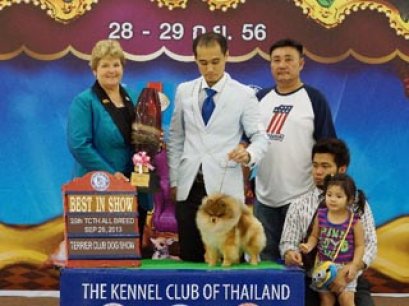 Terrier Club Dog show 2013(AB1)