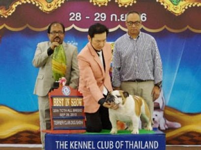 Terrier Club Dog show 2013(AB2)